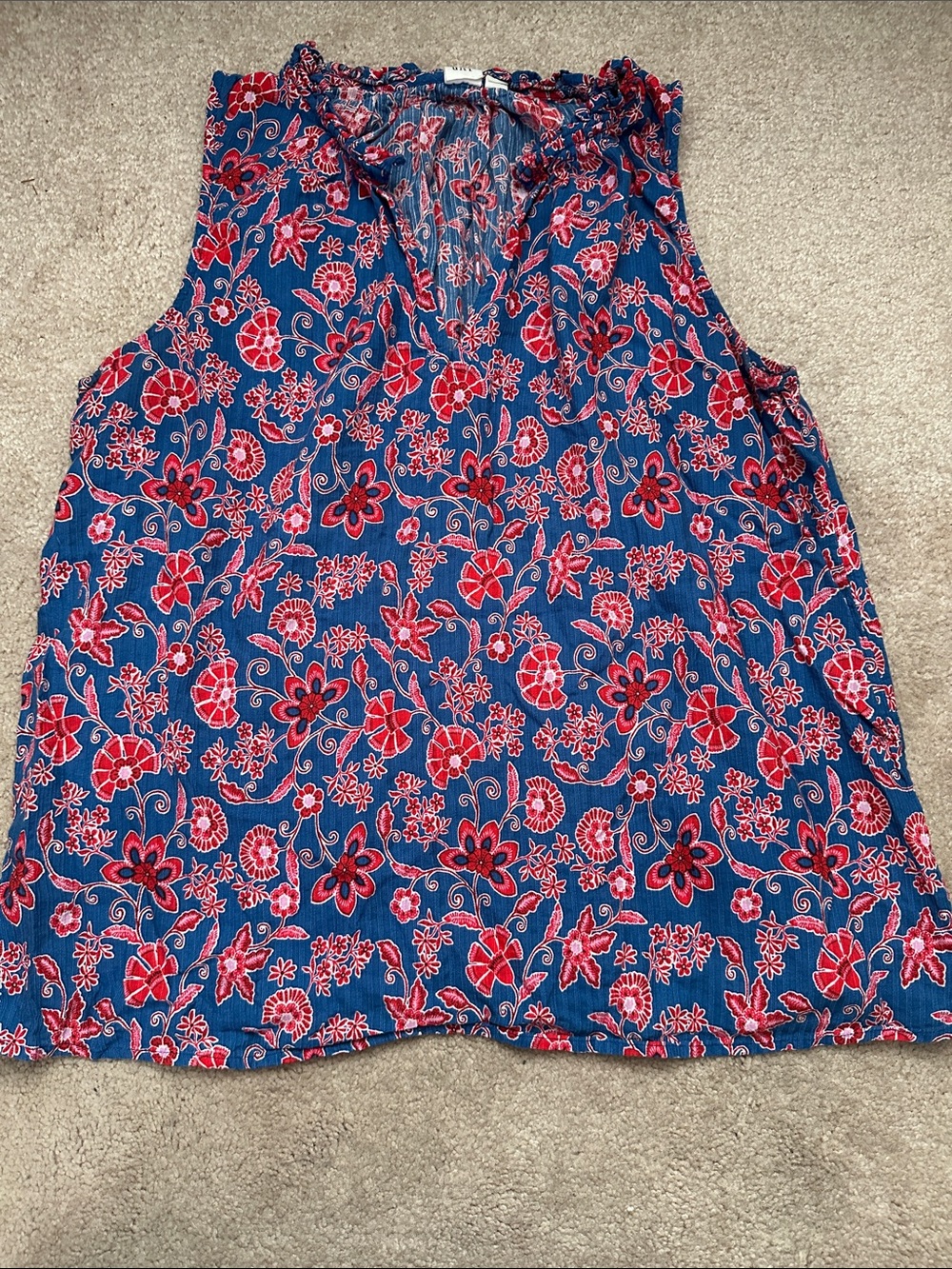 GAP Sleeveless Floral Top in Blue and Red